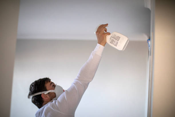 Best Emergency Mold Removal  in Lahoma City, OK