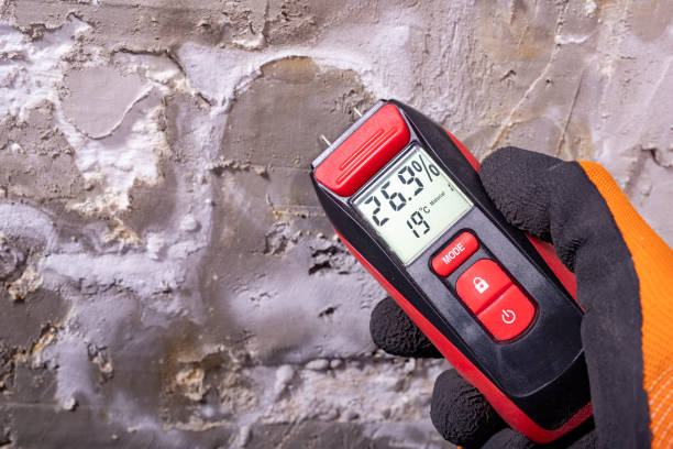 Trusted Oklahoma City, OK Mold Removal Experts