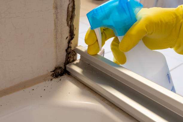 Best Mold Cleaning Services  in Lahoma City, OK