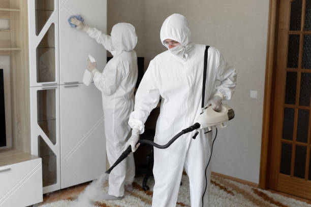 Attic Mold Removal in Oklahoma City, OK