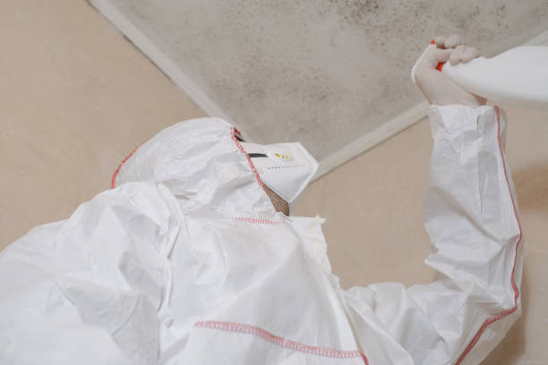 Best Mold Damage Repair  in Lahoma City, OK