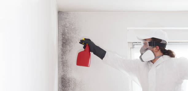 Best Mold Removal Near Me  in Lahoma City, OK