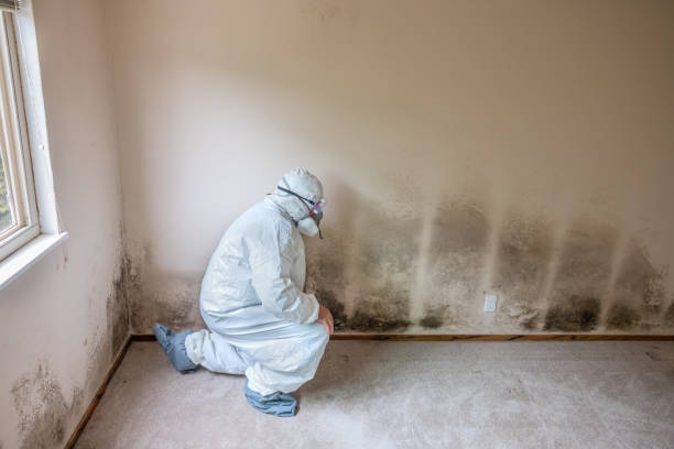 Best Water Damage Restoration  in Lahoma City, OK