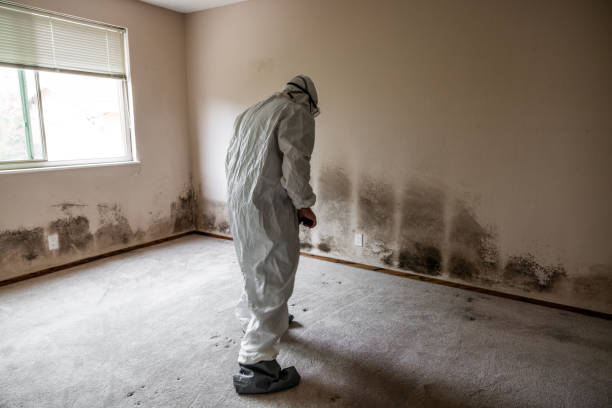 Best Office Mold Removal Services  in Lahoma City, OK
