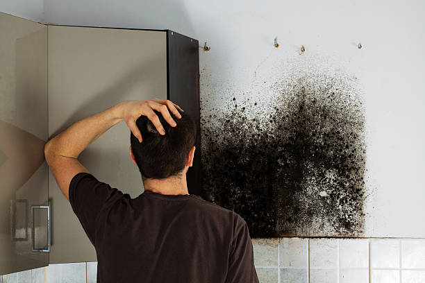 Best Crawl Space Mold Removal  in Lahoma City, OK